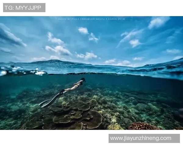 赛后分析：西安极限运动队与杭州极限运动队的竞技状态对比与启示